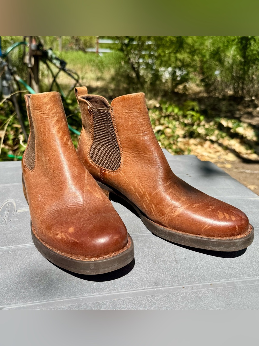 Born Women's Brown Leather Chelsea Ankle Boots, Brenta II, Color: Lion NWOT